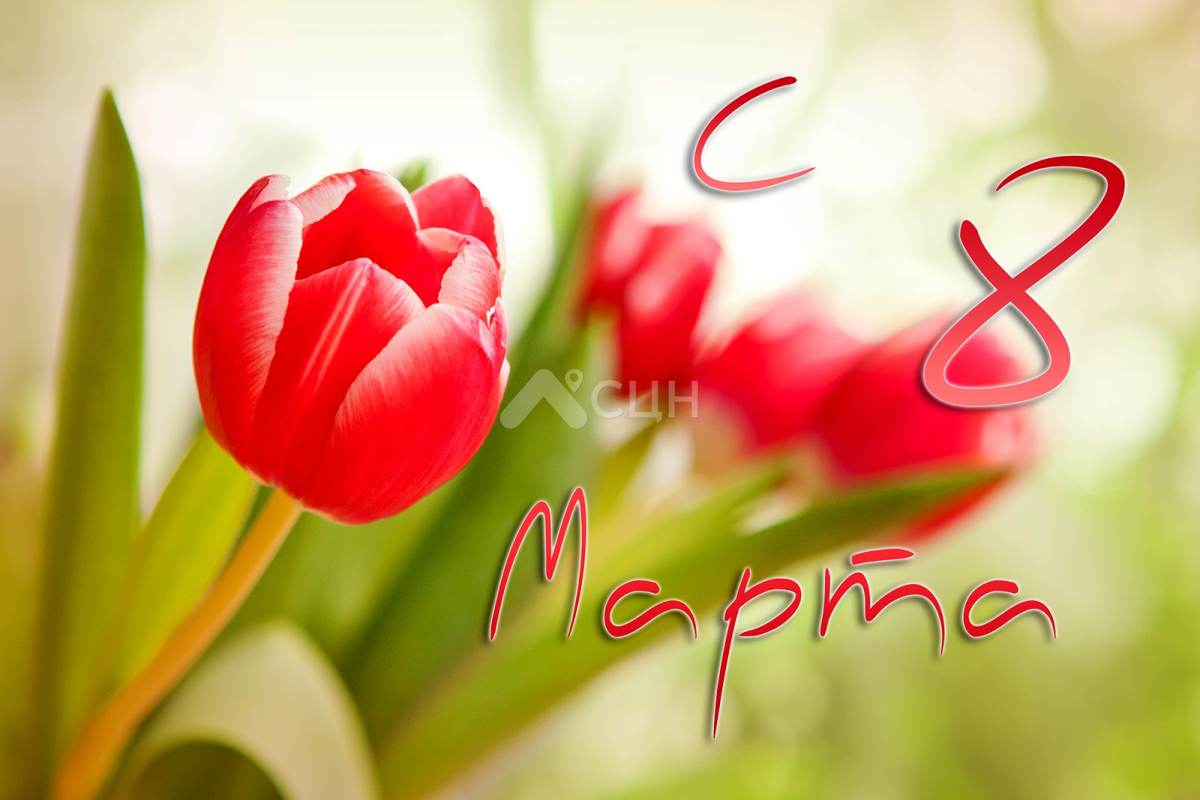 Поздравление с 8 марта от СЦН