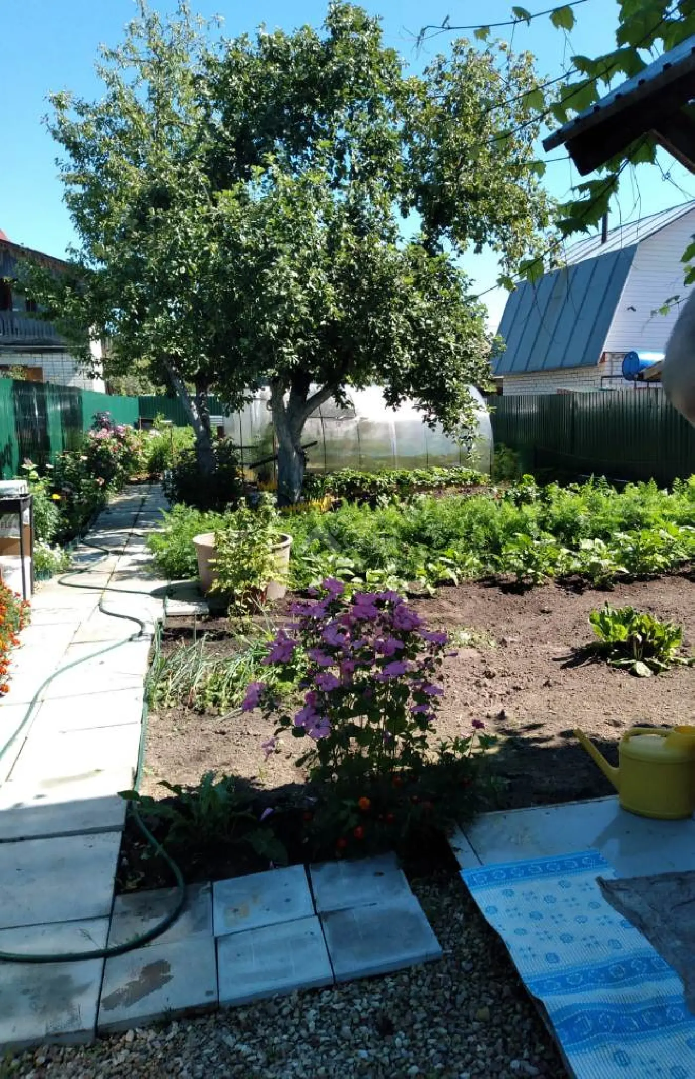 Фотография: продажа однокомнатная дача, Саров, СНТ, Восход, 5 проезд - фото 3 из 8