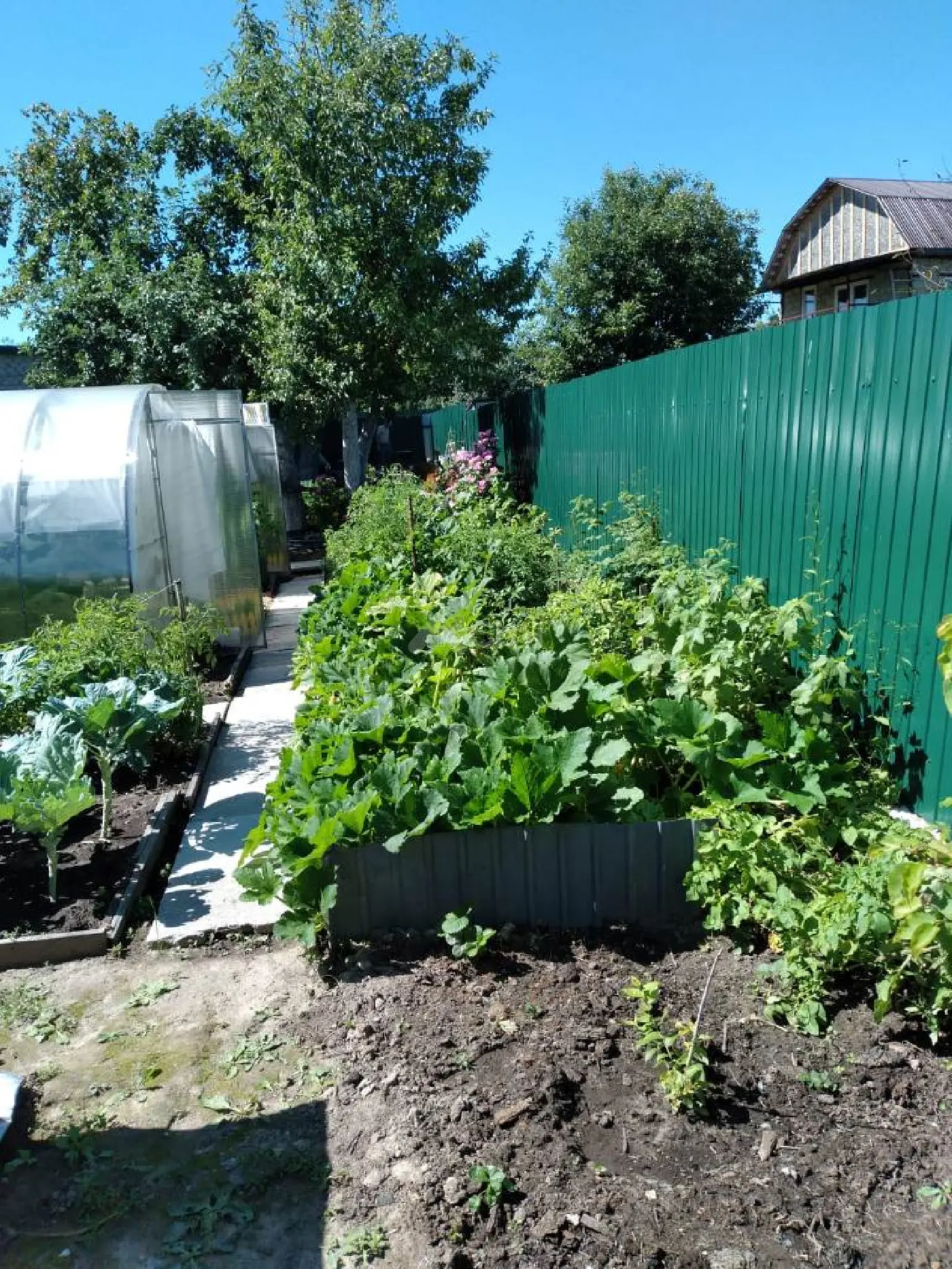 Фотография: продажа однокомнатная дача, Саров, СНТ, Восход, 5 проезд - фото 4 из 8