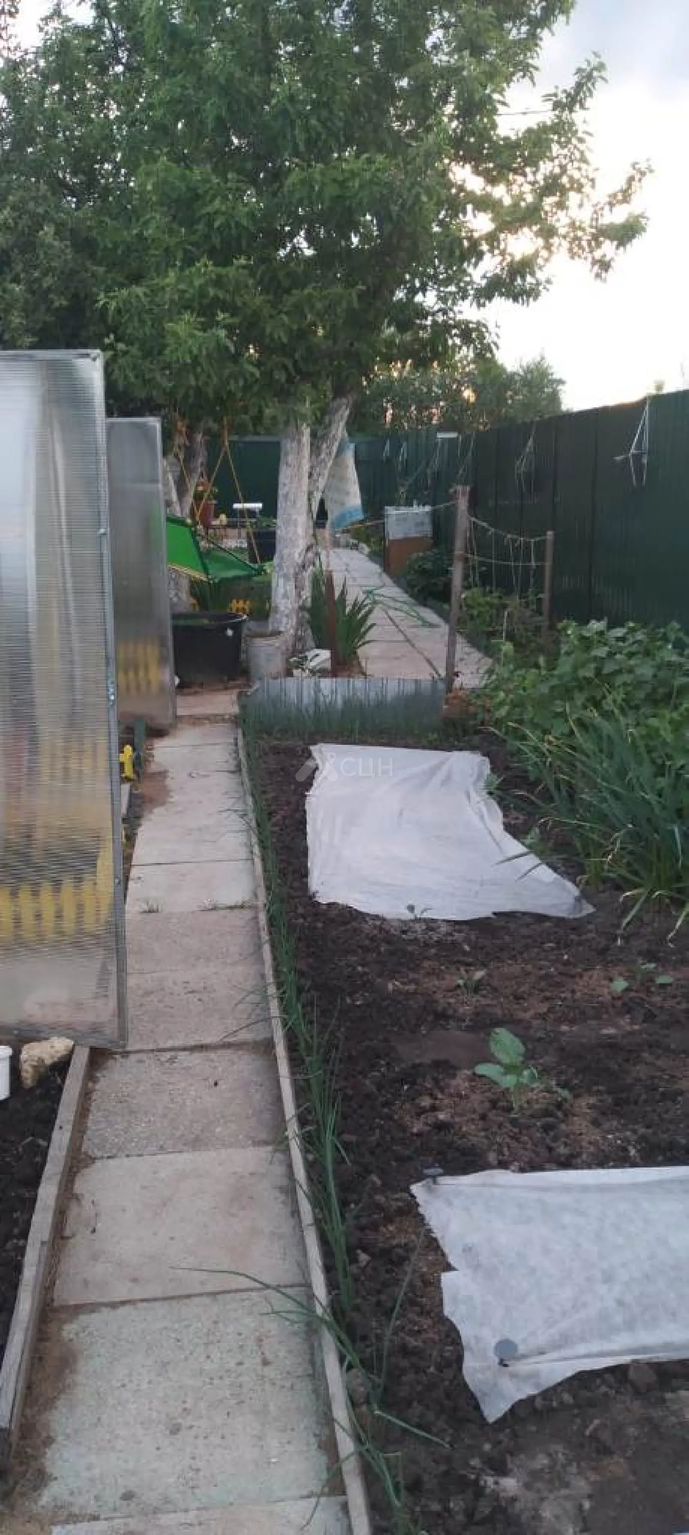 Фотография: продажа однокомнатная дача, Саров, СНТ, Восход, 5 проезд - фото 8 из 8