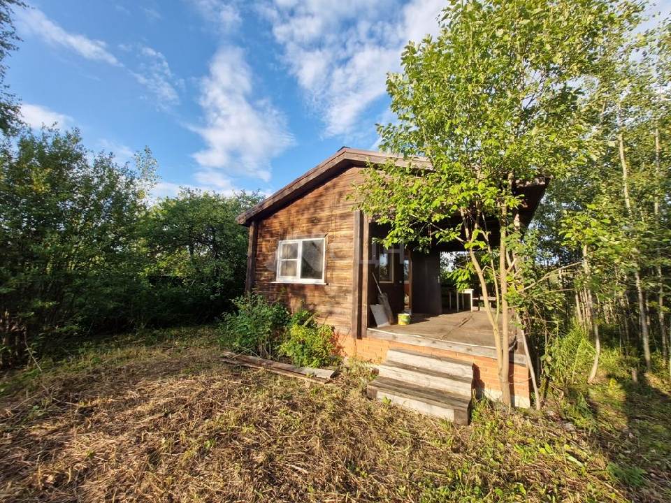 Фотография: продажа дача, Саров, СНТ Союз, проезд 7, сад 34 - фото 8 из 9