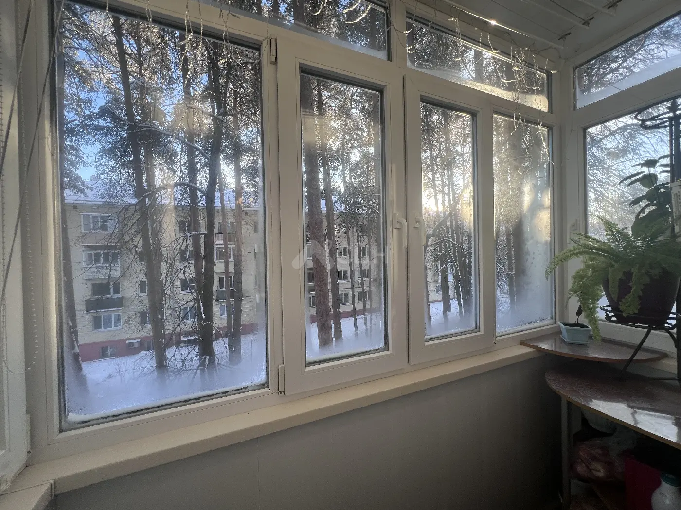 Фотография: продажа двухкомнатная квартира, Саров, улица Академика Харитона, 5 - фото 7 из 9