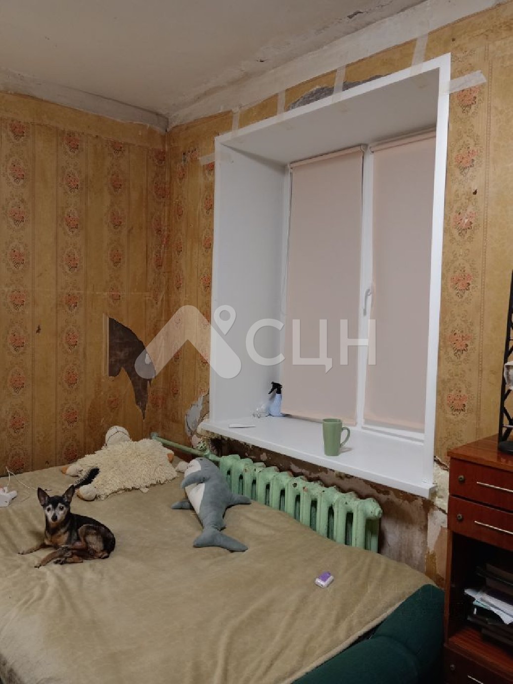 Вторичка Саров
: Г. Саров, улица Александровича, 39, 2-комн квартира, этаж 1 из 4, продажа.