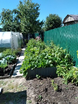 Миниатюра: Г. Саров, СНТ, Восход, 5 проезд, дача, продажа - фото 4 из 8
