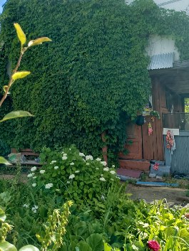 Миниатюра: Г. Саров, Снт Союз (Строитель), дача, продажа - фото 2 из 8